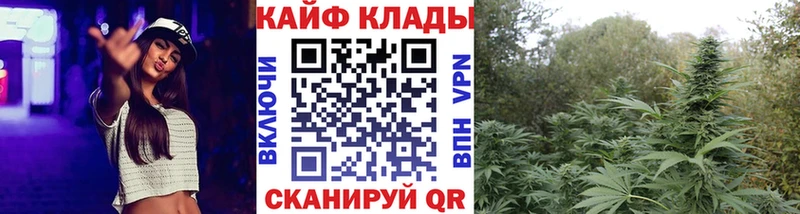 Купить наркотики цена Бугуруслан Гашиш  Псилоцибиновые грибы  Героин  Конопля  Кокаин  Меф мяу мяу 