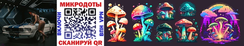 Галлюциногенные грибы Psilocybine cubensis  Бугуруслан 